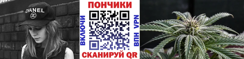 Псилоцибиновые грибы Дальнереченск