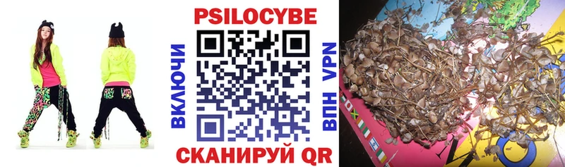MEGA как войти  Дальнереченск  Галлюциногенные грибы мухоморы  где найти  